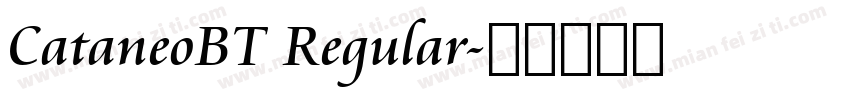 CataneoBT Regular字体转换